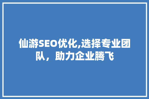 仙游SEO优化,选择专业团队，助力企业腾飞