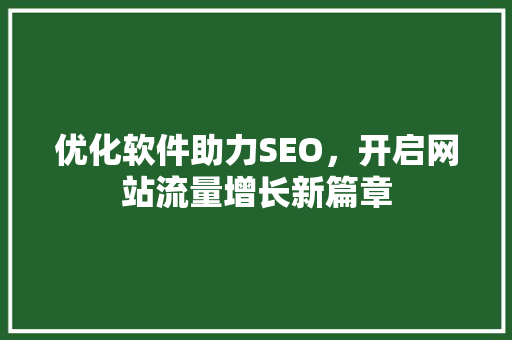 优化软件助力SEO，开启网站流量增长新篇章