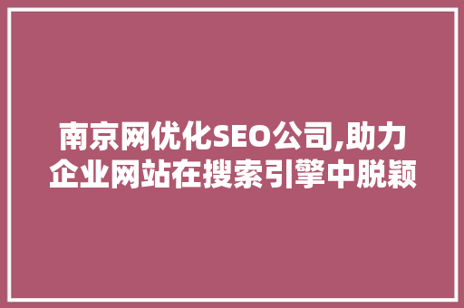 南京网优化SEO公司,助力企业网站在搜索引擎中脱颖而出