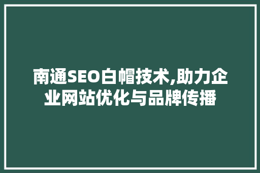 南通SEO白帽技术,助力企业网站优化与品牌传播  第1张