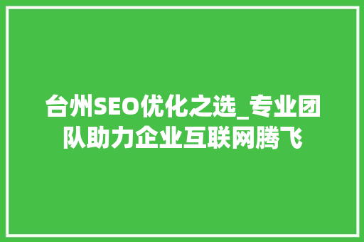 台州SEO优化之选_专业团队助力企业互联网腾飞