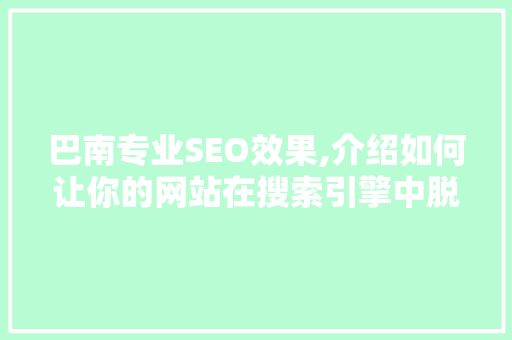 巴南专业SEO效果,介绍如何让你的网站在搜索引擎中脱颖而出