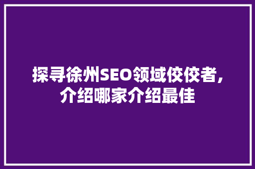 探寻徐州SEO领域佼佼者,介绍哪家介绍最佳