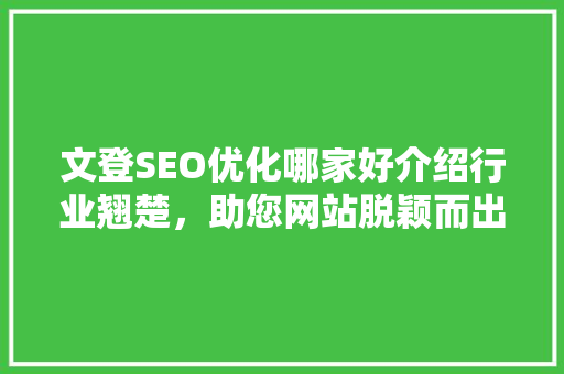 文登SEO优化哪家好介绍行业翘楚，助您网站脱颖而出