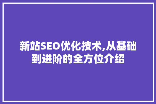 新站SEO优化技术,从基础到进阶的全方位介绍