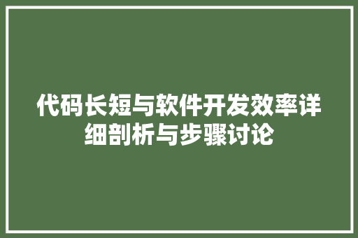 代码长短与软件开发效率详细剖析与步骤讨论