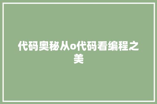 代码奥秘从o代码看编程之美