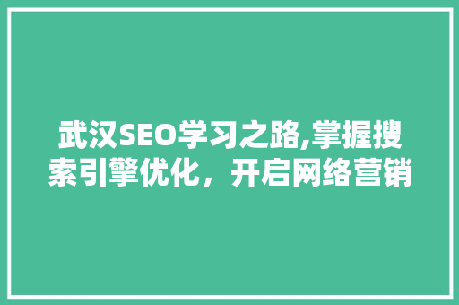 武汉SEO学习之路,掌握搜索引擎优化，开启网络营销新篇章