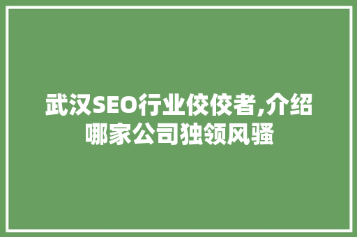 武汉SEO行业佼佼者,介绍哪家公司独领风骚  第1张