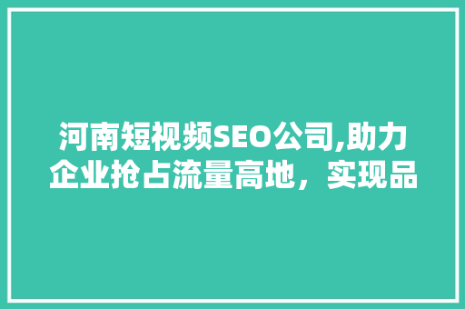 河南短视频SEO公司,助力企业抢占流量高地，实现品牌腾飞  第1张