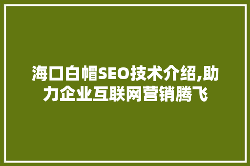 海口白帽SEO技术介绍,助力企业互联网营销腾飞