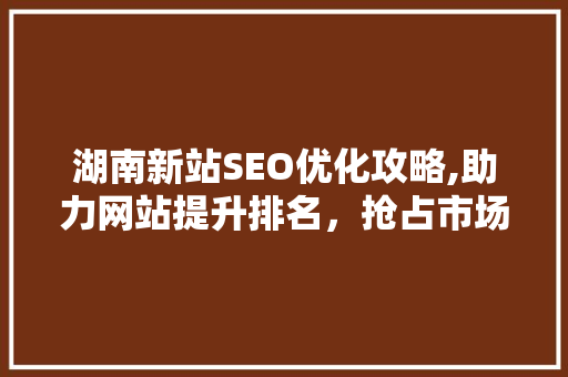湖南新站SEO优化攻略,助力网站提升排名，抢占市场份额
