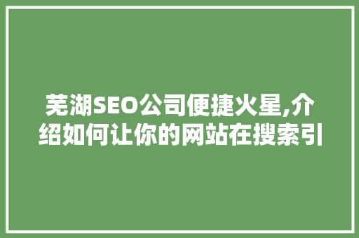 芜湖SEO公司便捷火星,介绍如何让你的网站在搜索引擎中脱颖而出