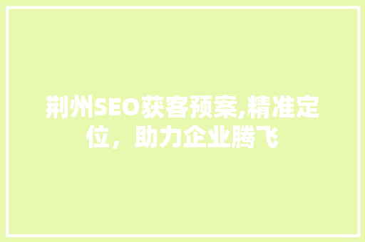 荆州SEO获客预案,精准定位，助力企业腾飞