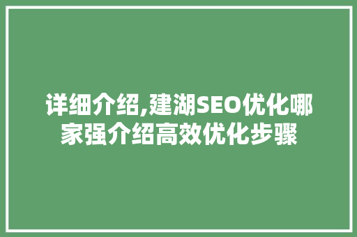 详细介绍,建湖SEO优化哪家强介绍高效优化步骤