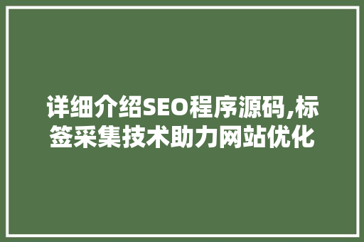 详细介绍SEO程序源码,标签采集技术助力网站优化