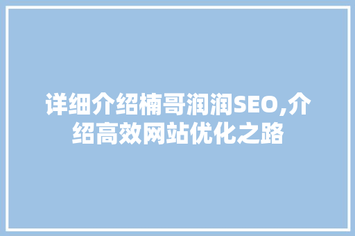 详细介绍楠哥润润SEO,介绍高效网站优化之路  第1张