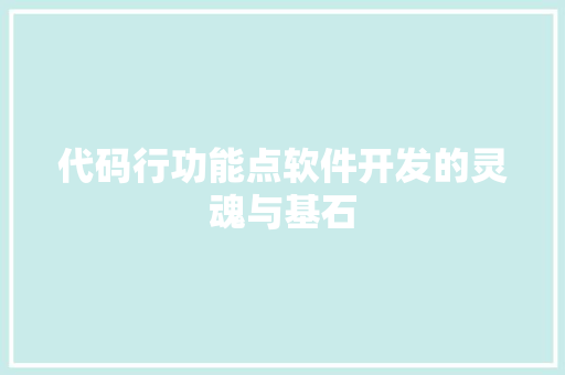 代码行功能点软件开发的灵魂与基石