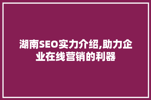 湖南SEO实力介绍,助力企业在线营销的利器