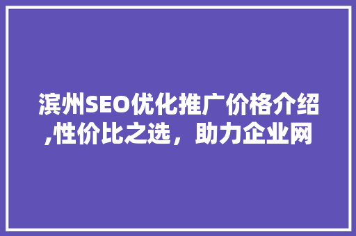 滨州SEO优化推广价格介绍,性价比之选，助力企业网络营销