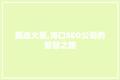 甄选火星,海口SEO公司的智慧之路