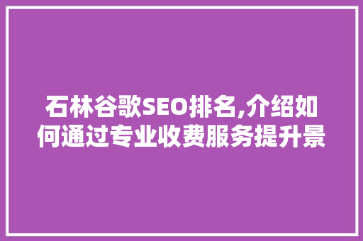 石林谷歌SEO排名,介绍如何通过专业收费服务提升景区在线知名度