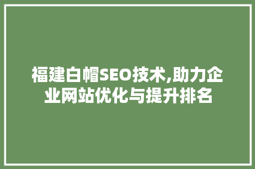 福建白帽SEO技术,助力企业网站优化与提升排名