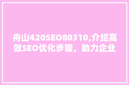 舟山420SEO80310,介绍高效SEO优化步骤，助力企业互联网营销