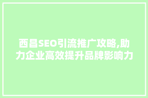 西昌SEO引流推广攻略,助力企业高效提升品牌影响力