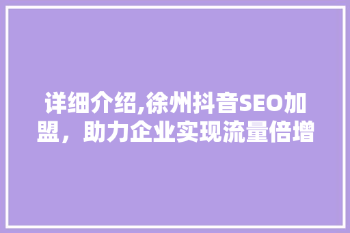 详细介绍,徐州抖音SEO加盟，助力企业实现流量倍增！
