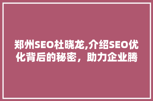 郑州SEO杜晓龙,介绍SEO优化背后的秘密，助力企业腾飞