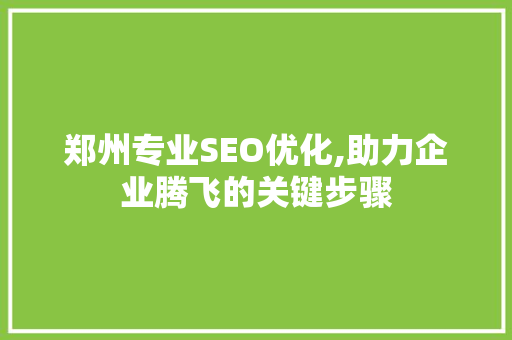 郑州专业SEO优化,助力企业腾飞的关键步骤