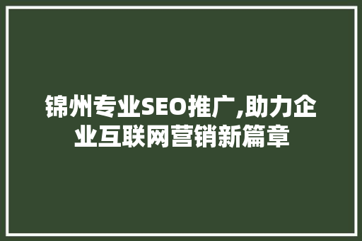 锦州专业SEO推广,助力企业互联网营销新篇章