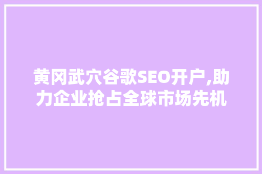 黄冈武穴谷歌SEO开户,助力企业抢占全球市场先机