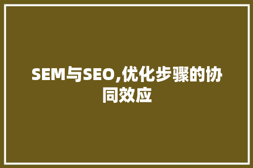 SEM与SEO,优化步骤的协同效应
