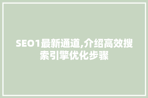 SEO1最新通道,介绍高效搜索引擎优化步骤