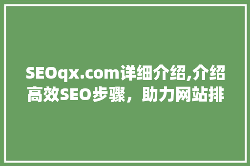 SEOqx.com详细介绍,介绍高效SEO步骤，助力网站排名跃升  第1张
