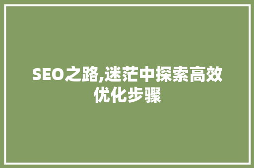 SEO之路,迷茫中探索高效优化步骤