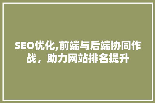 SEO优化,前端与后端协同作战，助力网站排名提升