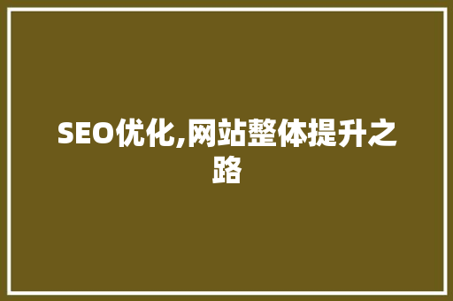 SEO优化,网站整体提升之路