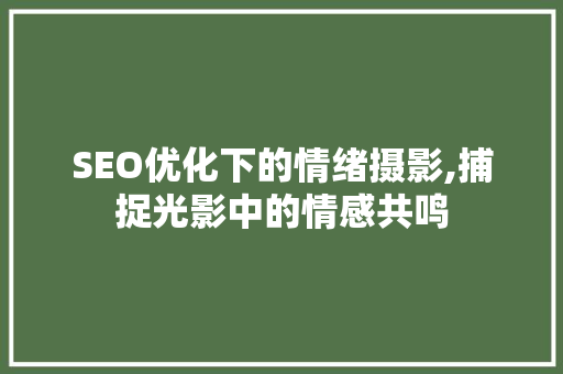 SEO优化下的情绪摄影,捕捉光影中的情感共鸣