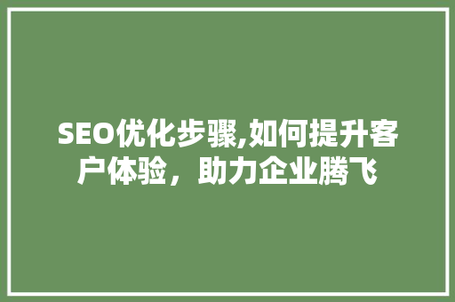 SEO优化步骤,如何提升客户体验，助力企业腾飞  第1张