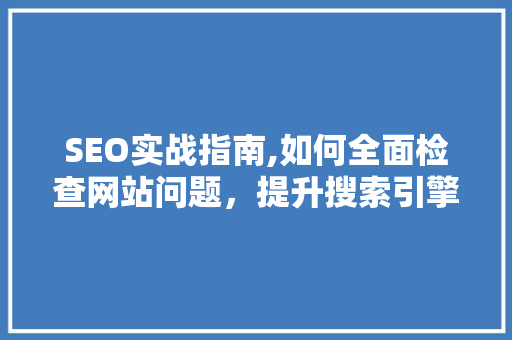 SEO实战指南,如何全面检查网站问题，提升搜索引擎排名