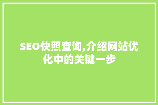 SEO快照查询,介绍网站优化中的关键一步