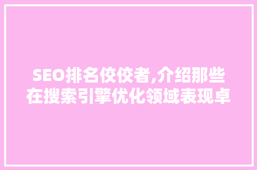 SEO排名佼佼者,介绍那些在搜索引擎优化领域表现卓越的公司