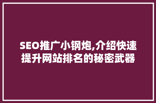 SEO推广小钢炮,介绍快速提升网站排名的秘密武器
