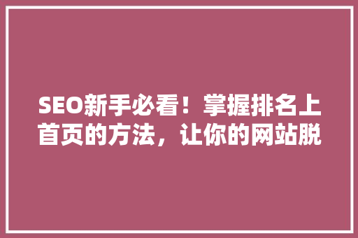 SEO新手必看！掌握排名上首页的方法，让你的网站脱颖而出