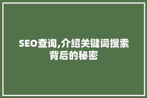 SEO查询,介绍关键词搜索背后的秘密