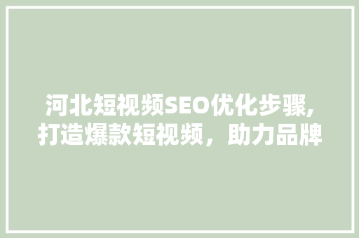 河北短视频SEO优化步骤,打造爆款短视频，助力品牌腾飞
