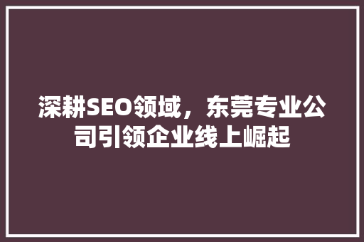 深耕SEO领域，东莞专业公司引领企业线上崛起